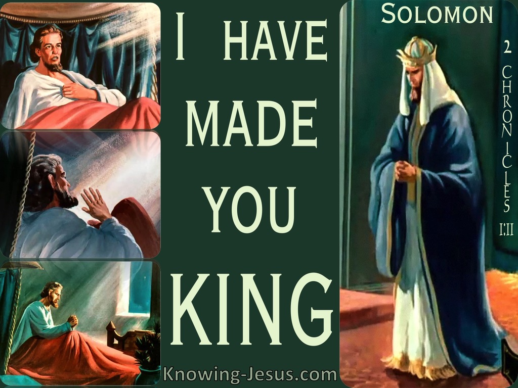 2 Chronicles 1:11 I Have Made You King SAGE